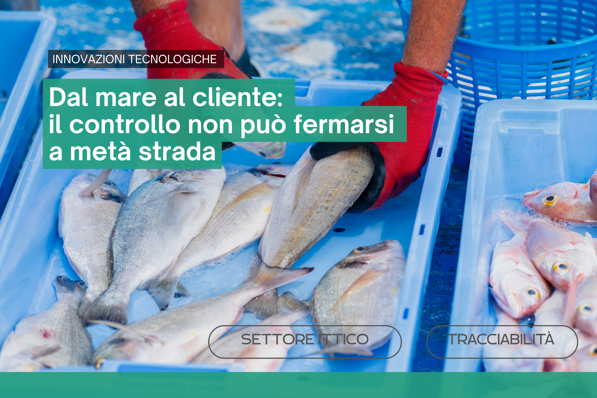industria ittica